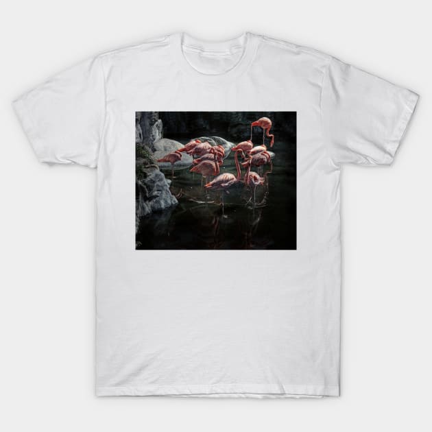 flamingos T-Shirt by jmpznz
